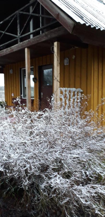 Villa Hommik House Otepää Exterior foto