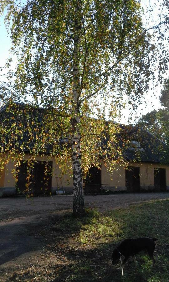 Villa Hommik House Otepää Exterior foto